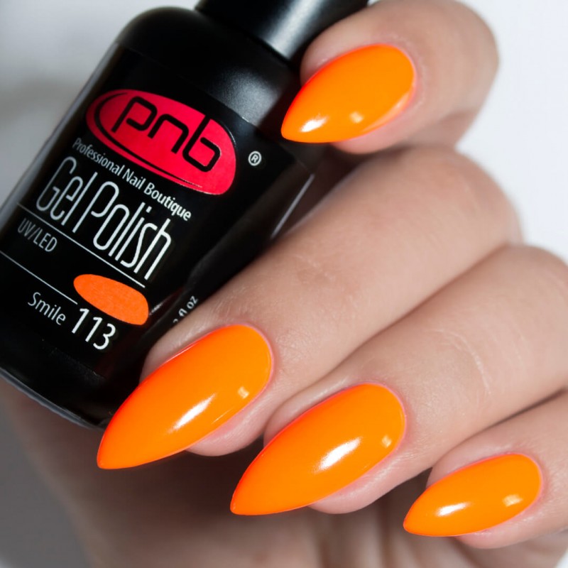 Gel Nail Polish PNB 113, 8 ml