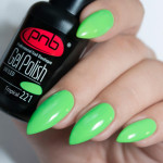 Gel Nail Polish PNB 221, 8 ml