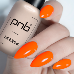 Lakier hybrydowy  Gel nail polish PNB 8 ml 113
