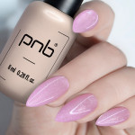 Gel Nail Polish PNB 260, 8 ml