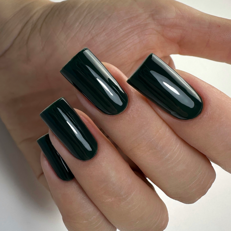 Gel nail polish PNB 08L Hidden Garden, 8 ml