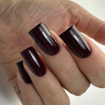 Gel nail polish PNB 09L Velvet Wine, 8 ml