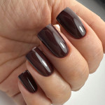 Gel Nail Polish PNB 060, 8 ml