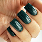 Gel Nail Polish PNB 105, 8 ml