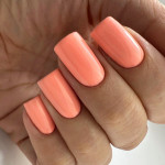 Gel Nail Polish PNB mini 138, 4 ml