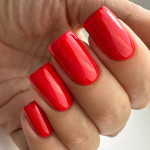 Gel Nail Polish PNB 147, 8 ml