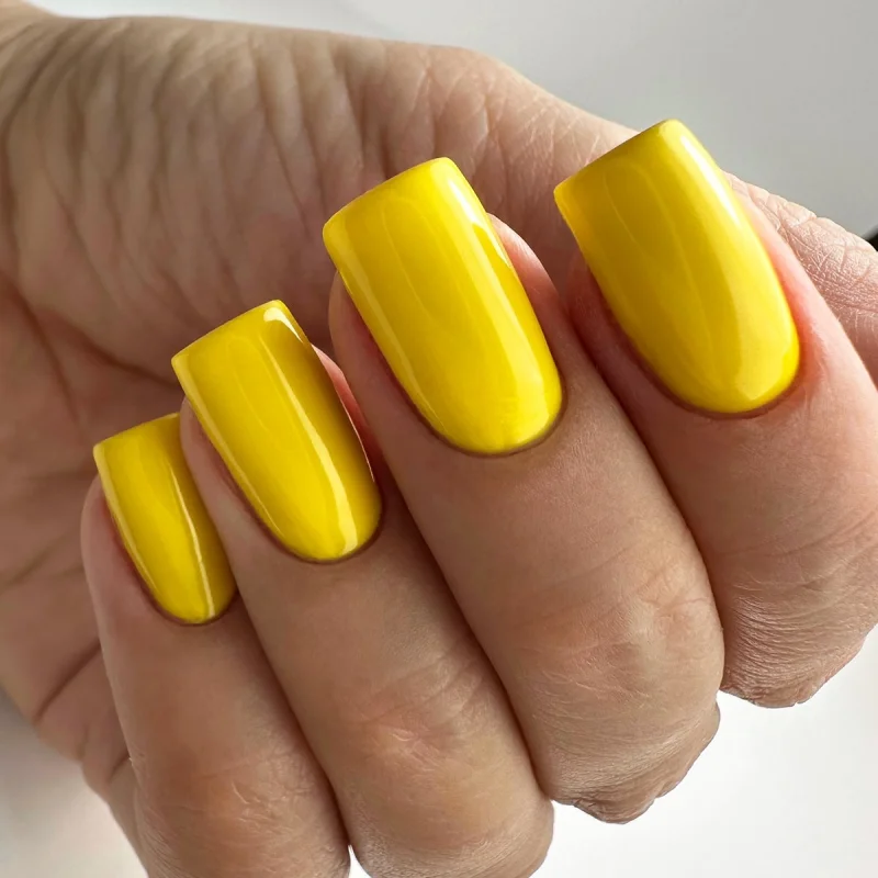 Lakier hybrydowy  Gel nail polish PNB 8 ml 141